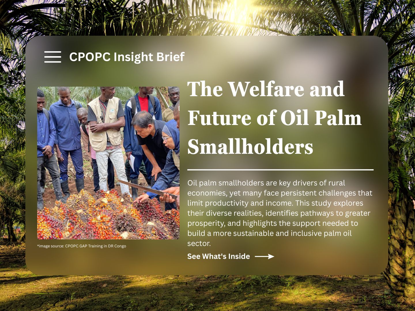 Executive Summary - Study on Smallholders Characteristic Welfare 1 CPOPC.net